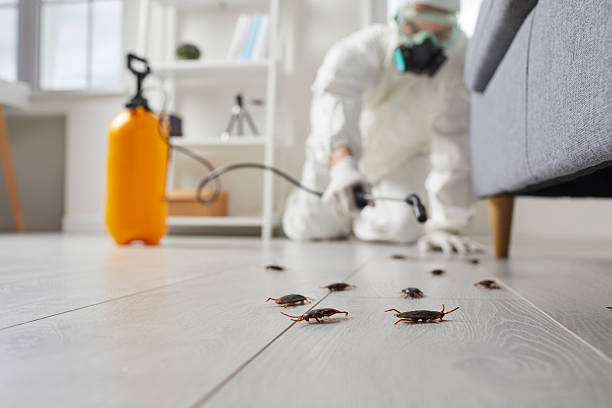 Commercial Kitchen Cockroach Control in Vandalia
